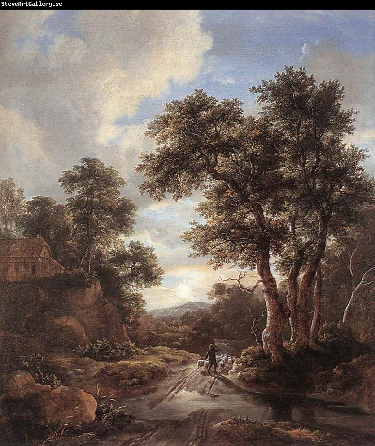 RUISDAEL, Jacob Isaackszon van Sunrise in a Wood at